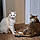 Gidget And Gabby