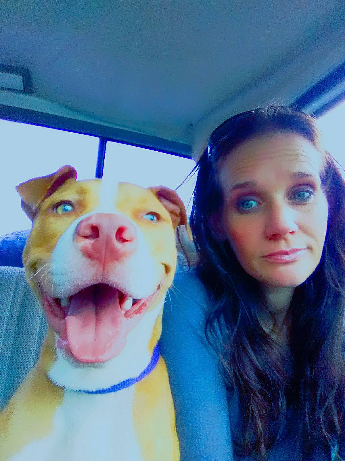 Spaz joined the competition — help win amazing prizes! canidae, carnivore, companion_dog, dog, dog_breed, eyewear, fawn, fur, gesture, happy, jaw, mouth, nose, selfie, skin, snout, sporting_group, stuffed_toy, whiskers, working_animal