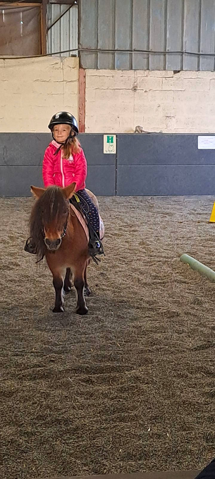 Lyana participe au concours pour gagner de l'argent avec cette photo : animal_sports, bit, boot, bridle, english_pleasure, english_riding, equestrian_sport, equestrianism, headgear, headwear, helmet, horse, horse_supplies, horse_tack, livestock, mane, pack_animal, person, rein, saddle