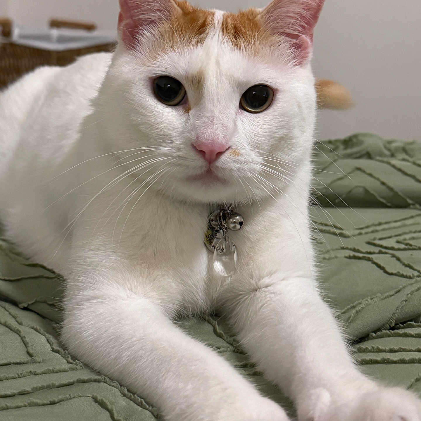 Stinky