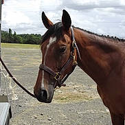 Sunbreeze participe au concours pour gagner de l'argent avec cette photo :