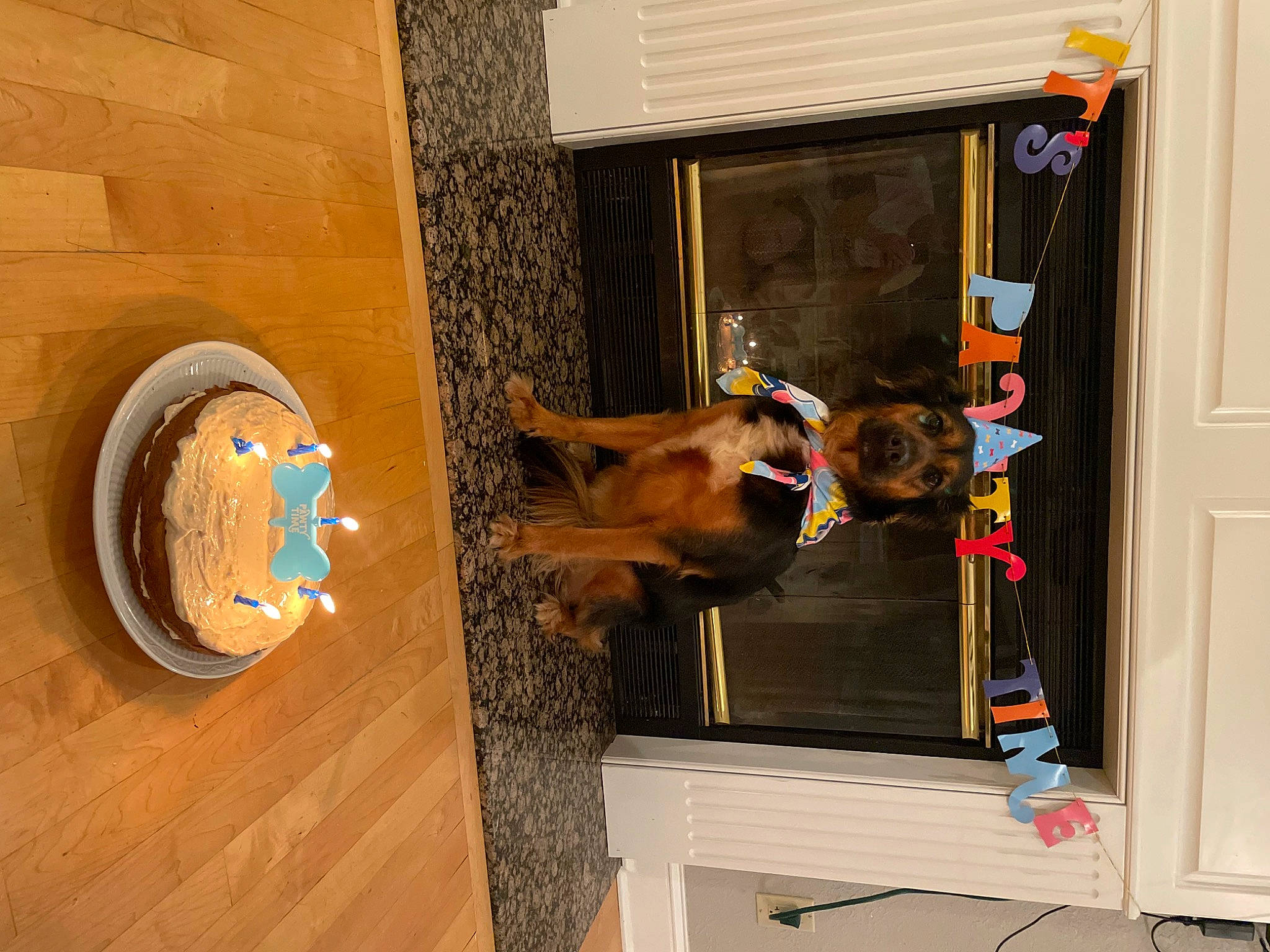 Jazzy is registered to the contest to win money with this photo: arch, art, brick, building, circle, door, facade, fixture, flooring, hardwood, hat, home_door, house, room, visual_arts, window, wood, wood_stain, working_animal