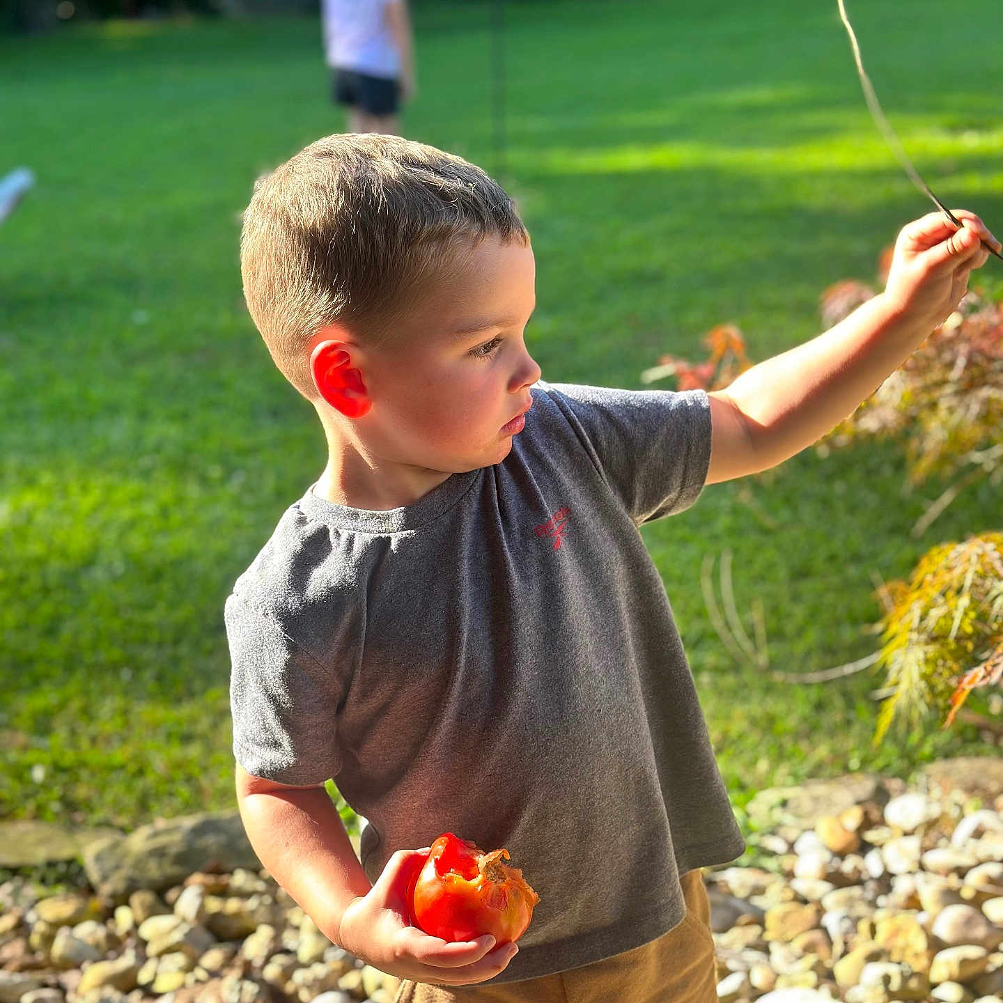Grayson joined the competition — help win amazing prizes! apple, backyard, boy, child, clothing, face, grass, head, male, nature, outdoors, park, person, photography, plant, portrait, rock, t_shirt, vegetation, yard
