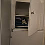 Pancake is registered to the contest to win money with this photo: cat, cabinet, clothing, folded_clothes, indoor, pet, white_wall, door, knob, shelf, hiding, resting, quiet, furniture, cozy, animal, domestic, apartment, hidden, relaxed