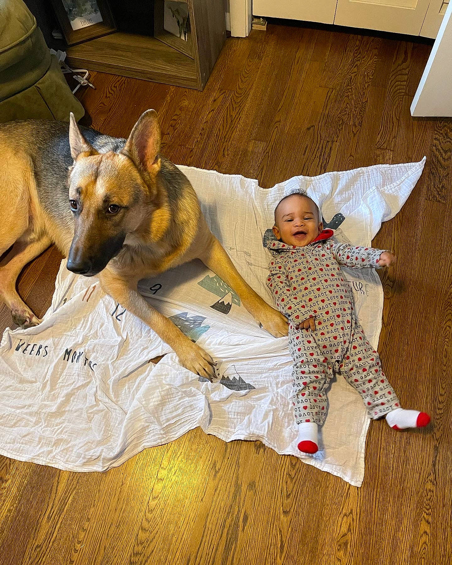 Cade joined the competition — help win amazing prizes! baby, canidae, carnivore, comfort, companion_dog, couch, dog, dog_breed, dog_supply, fawn, flooring, fur, happy, hardwood, lap, person, room, sporting_group, toddler, toy_dog