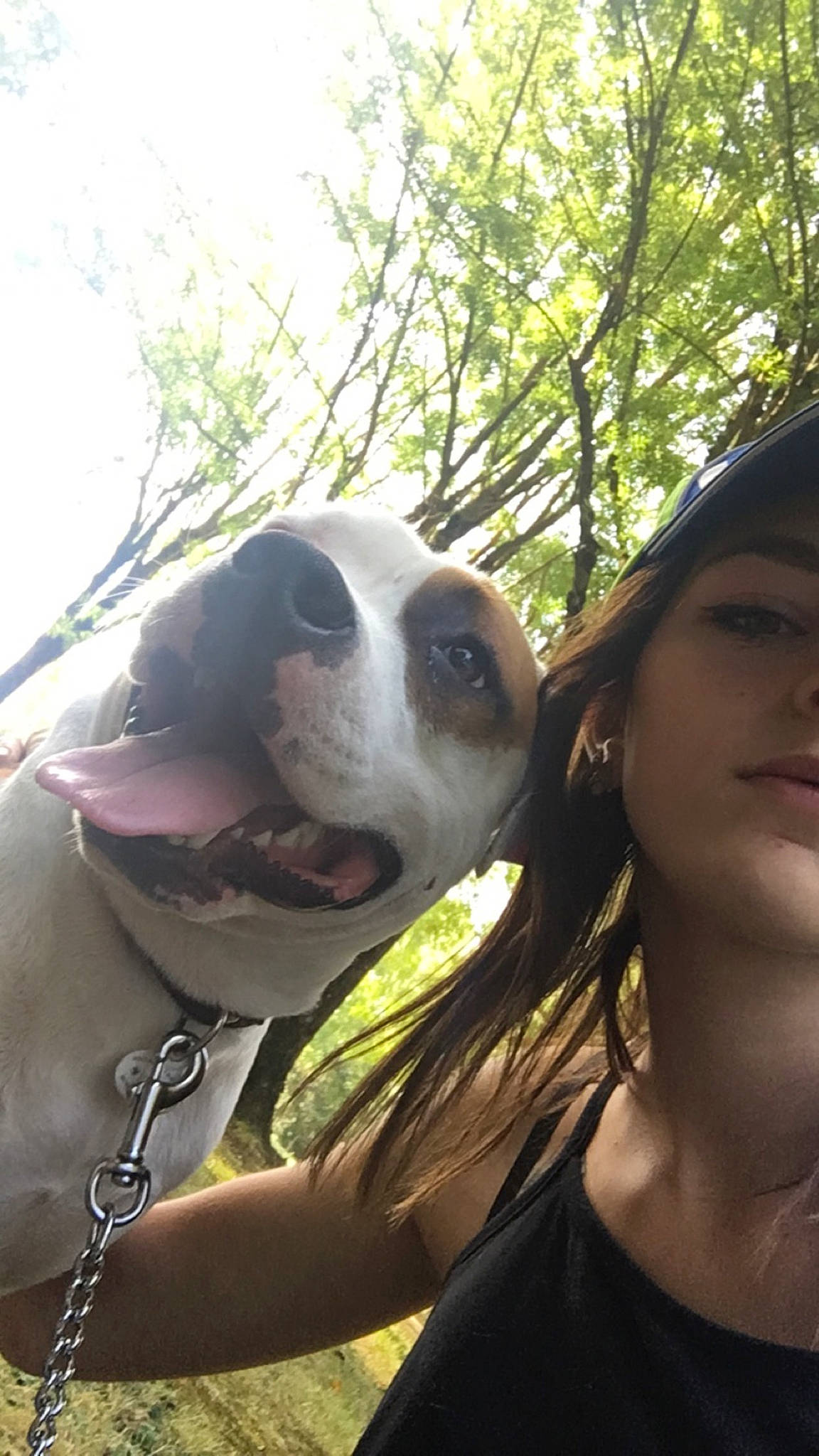 Smith participe au concours pour gagner de l'argent avec cette photo : dog, dog_breed, dog_like_mammal, girl, grass, nose, person, plant, snout, tree, vertebrate