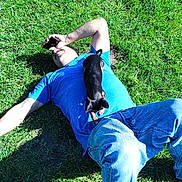 Trixie is registered to the contest to win money with this photo: man, dog, grass, outdoor, casual_clothing, blue_shirt, jeans, small_dog, lying_down, sunny, relaxed, pet, shadow, nature, greenery, playful, resting, daylight, animal, human