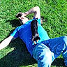 man, dog, grass, outdoor, casual_clothing, blue_shirt, jeans, small_dog, lying_down, sunny, relaxed, pet, shadow, nature, greenery, playful, resting, daylight, animal, human