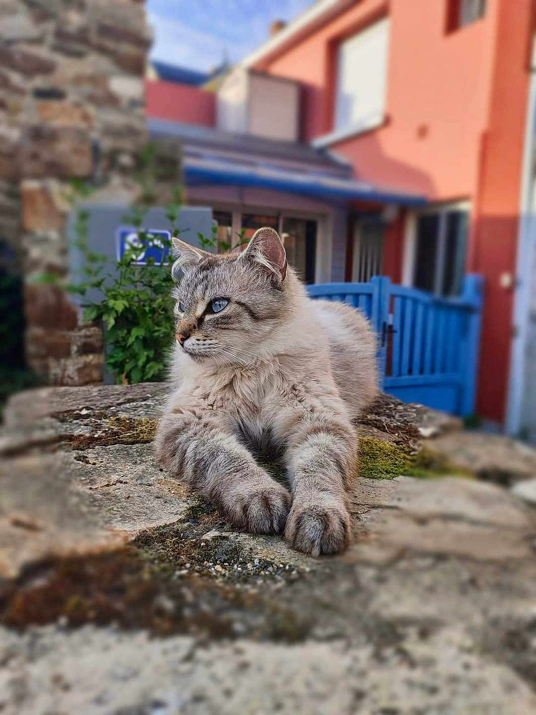 Pépère