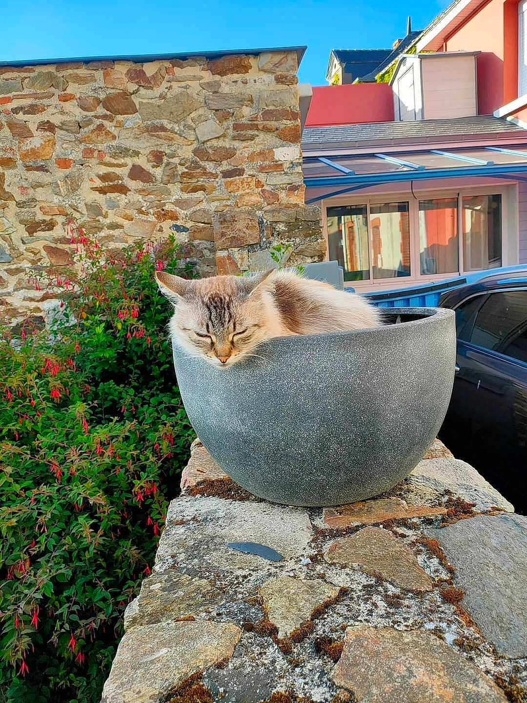 Pépère