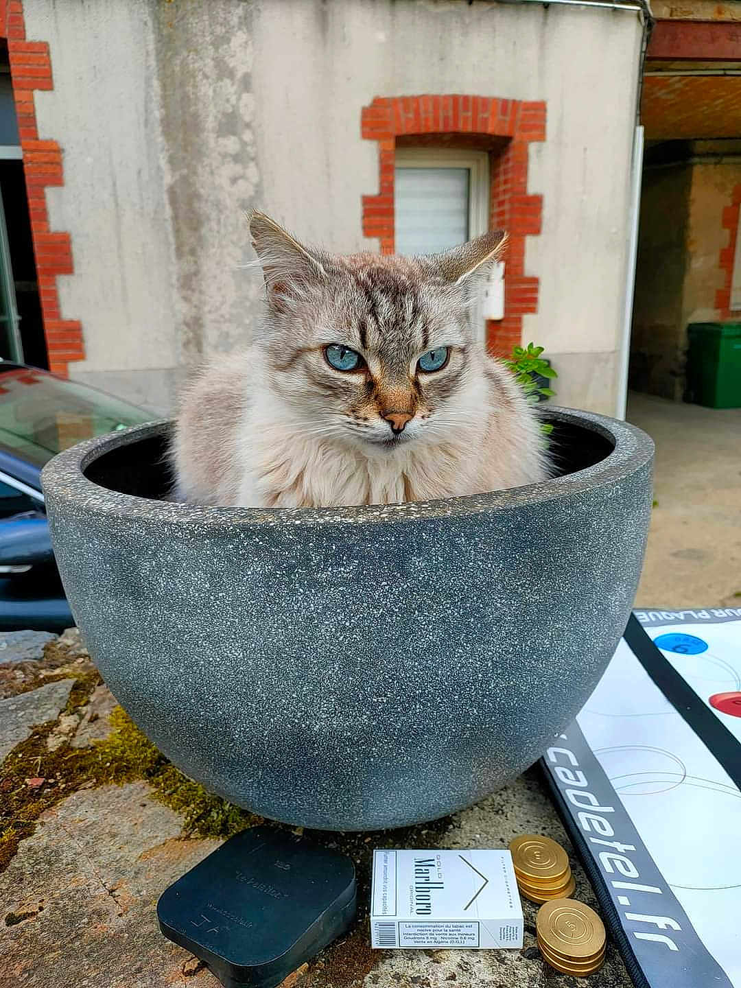 Pépère
