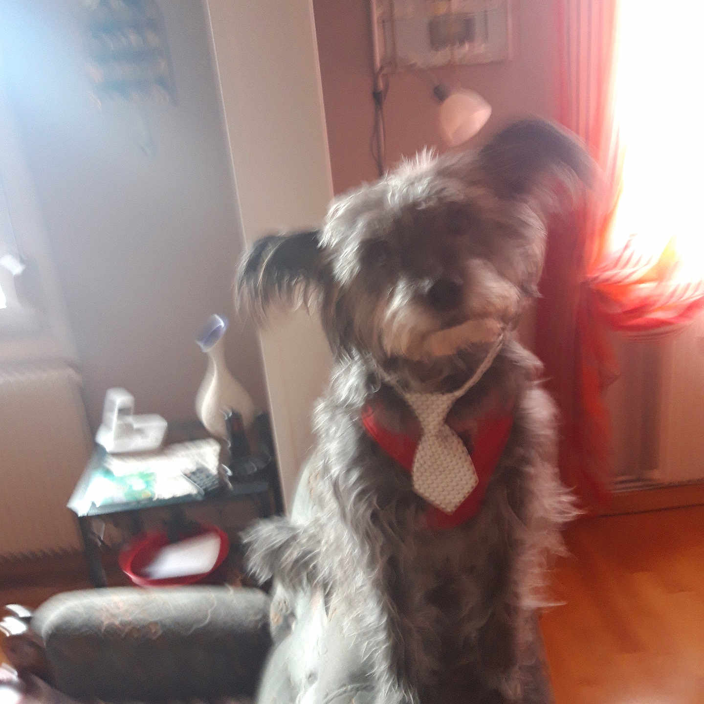 Idefix