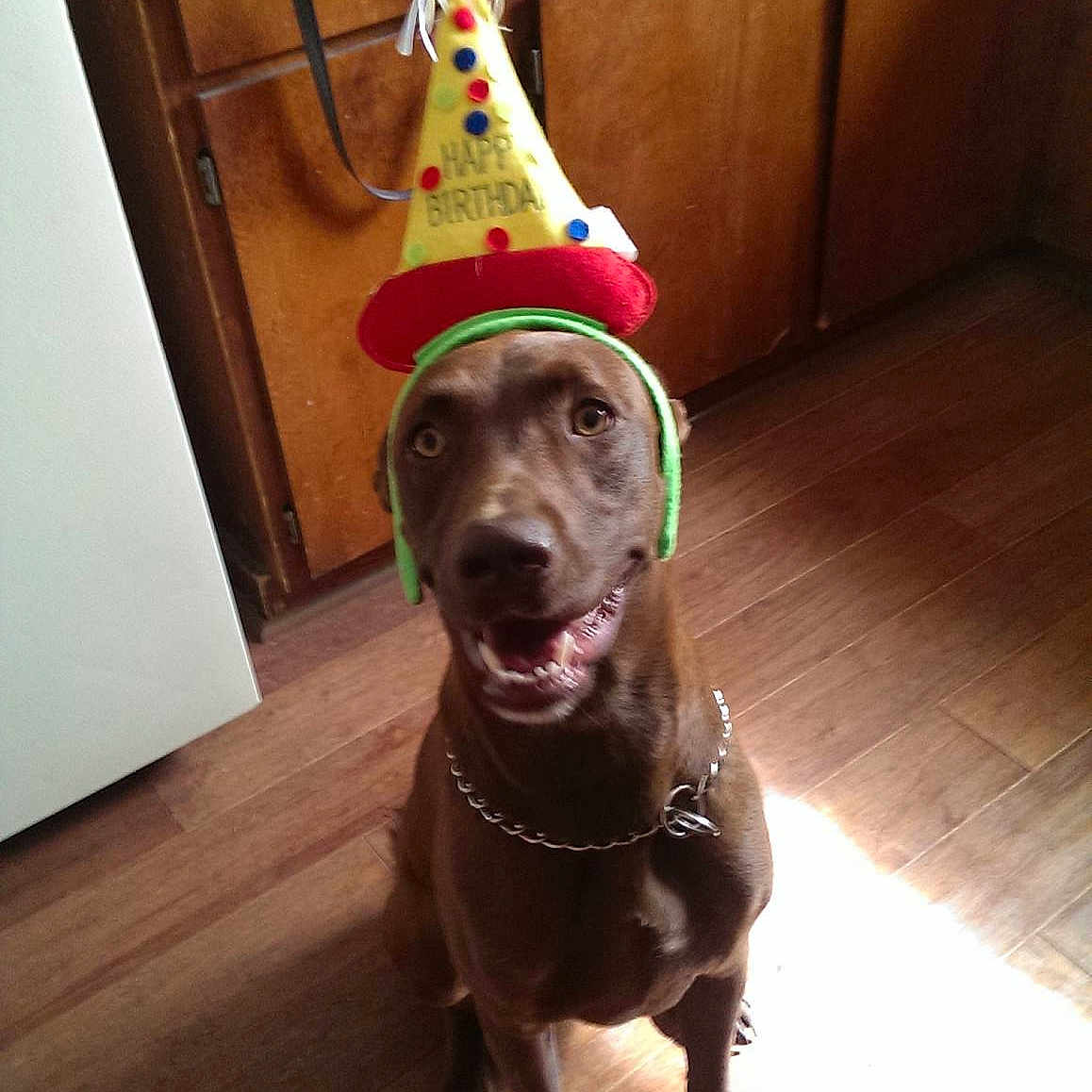 Rosco Sanchez
