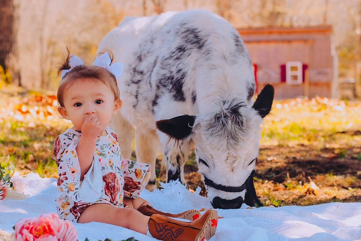 Kaylin joined the competition — help win amazing prizes! baby, baby_toddler_clothing, child, dairy_cow, dress, eye, fawn, fun, fur, grass, happy, leisure, people_in_nature, person, sitting, snout, spring, summer, toddler, toy