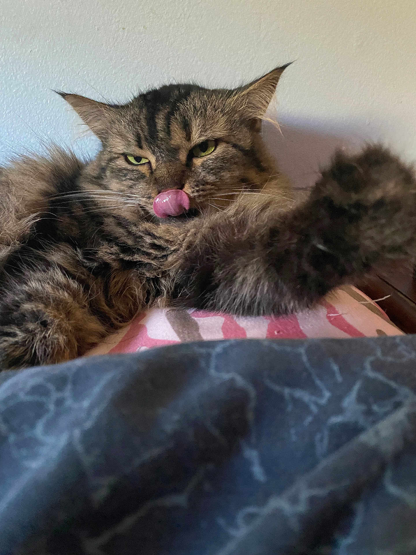 Juno