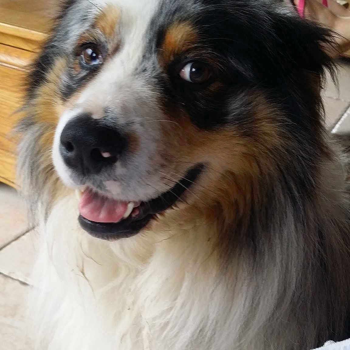 Farouk participe au concours pour gagner de l'argent avec cette photo :