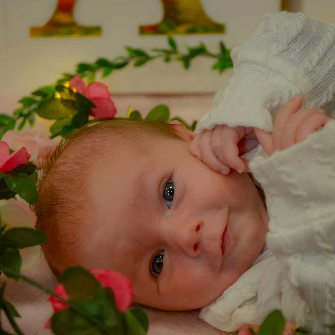 Sophia a rejoint le concours — aidez-le/la à gagner de superbes lots ! baby, infant, flower_wreath, pink_flowers, green_leaves, knitted_sweater, white_clothing, close_up, portrait, cute, laying_down, soft_texture, peaceful, smiling, face, hand, newborn, baby_skin, indoor, decorative
