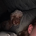 Abbie B.