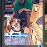beard, cap, cardboard_boxes, clutter, collar, dog, fan, garage, green_shirt, indoor, leash, person, pet, phone_screenshot, portrait, shelf, sitting, smile, storage, workshop