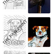 Dozer joined the competition — help win amazing prizes! app_header, brown_dog, cat, collar, coloring_page, dog, ginger_cat, mobile_screenshot, navigation_bar, outdoor_plant, pendant, pet_app, portrait_photo, scrolling_ui, search_icon, shopping_cart_icon, sidewalk, thumbnail, watermark_on_art, website_layout