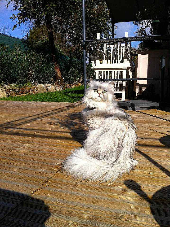 Farouk participe au concours pour gagner de l'argent avec cette photo :