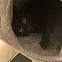 animal, black_cat, cat, cat_tunnel, cozy, cute, dark, feline, floor, fur, furniture, hiding, home, indoor, pet, resting, sitting, soft, whiskers, yellow_eyes