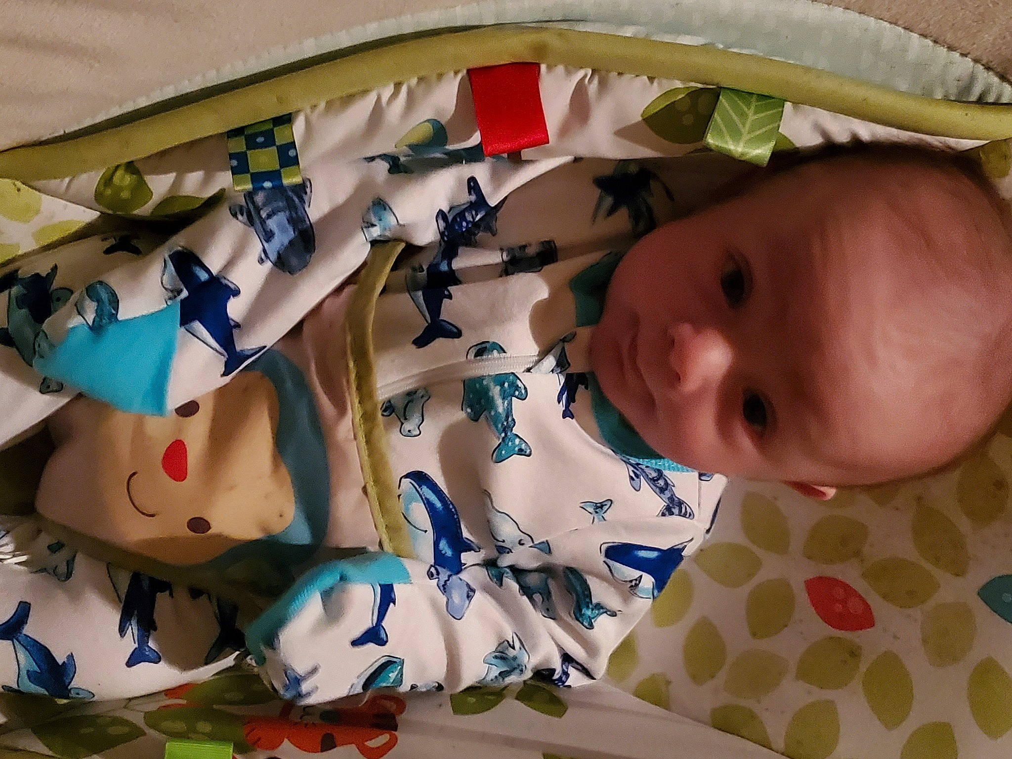 Ardyn is registered to the contest to win money with this photo: baby, baby_products, baby_safety, baby_toddler_clothing, child, comfort, elbow, happy, head, human_body, infant_bed, linens, mammal, pattern, person, room, skin, textile, toddler, vertebrate