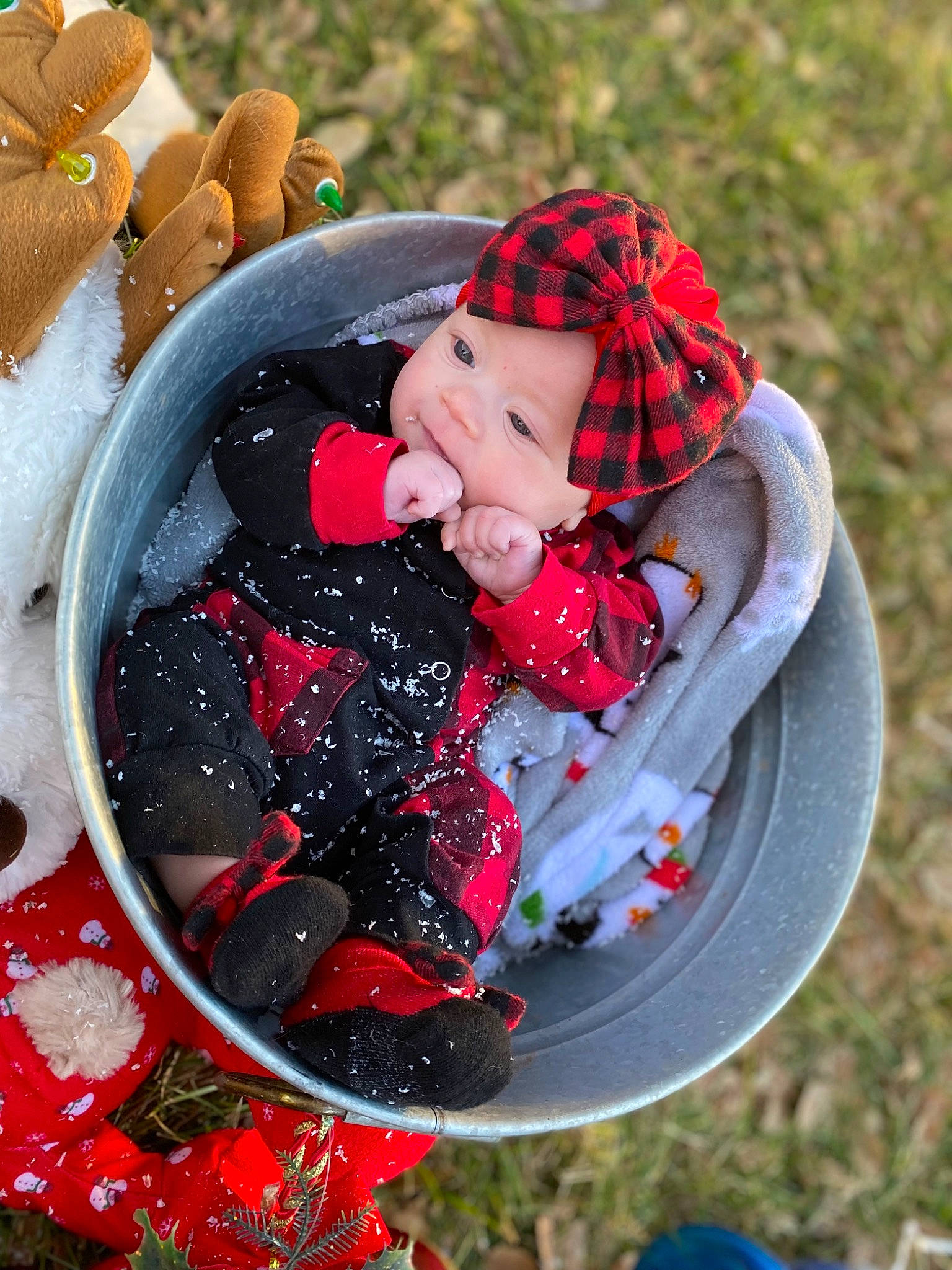 Kimber joined the competition — help win amazing prizes! baby, baby_toddler_clothing, berry, blue, carmine, dish, fashion_accessory, fruit, grass, happy, headwear, ingredient, leisure, pattern, people_in_nature, person, plaid, recipe, recreation, sweetness