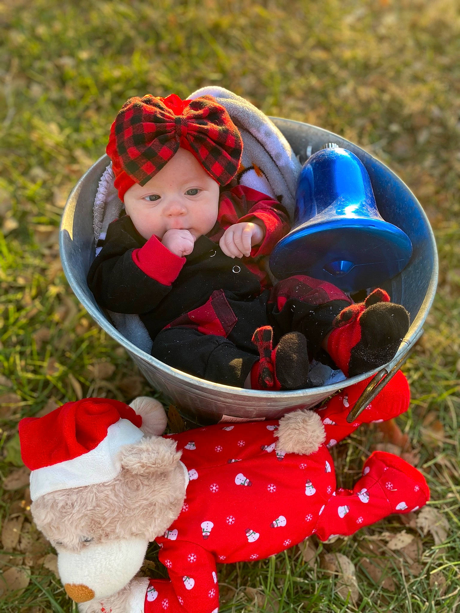 Kimber is registered to the contest to win money with this photo: baby, baby_carriage, baby_products, baby_toddler_clothing, basket, botany, carmine, child, grass, happy, headgear, headwear, leisure, pattern, people_in_nature, person, personal_protective_equipment, recreation, red, sitting