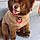 Coco Puff