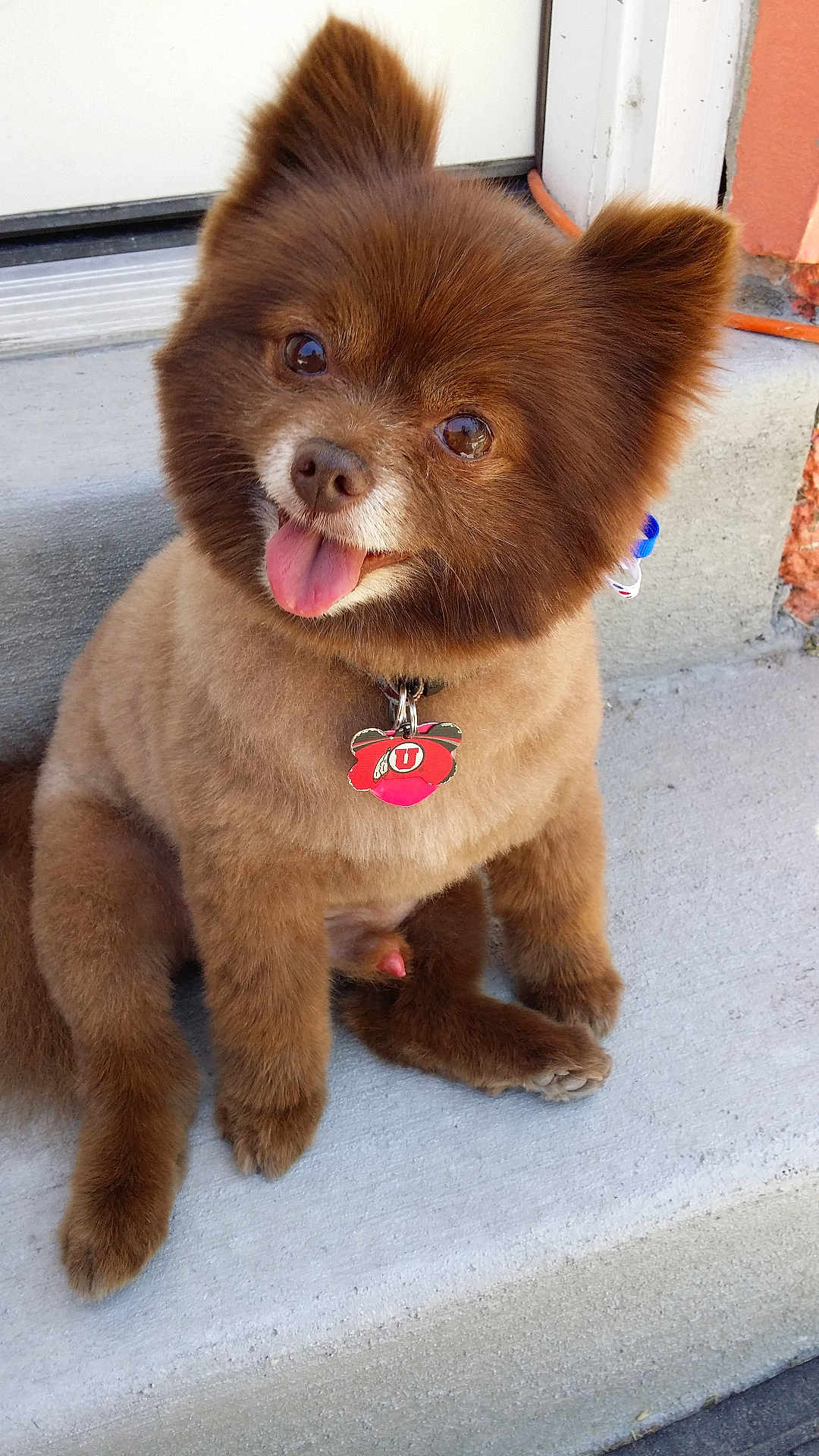 Coco Puff