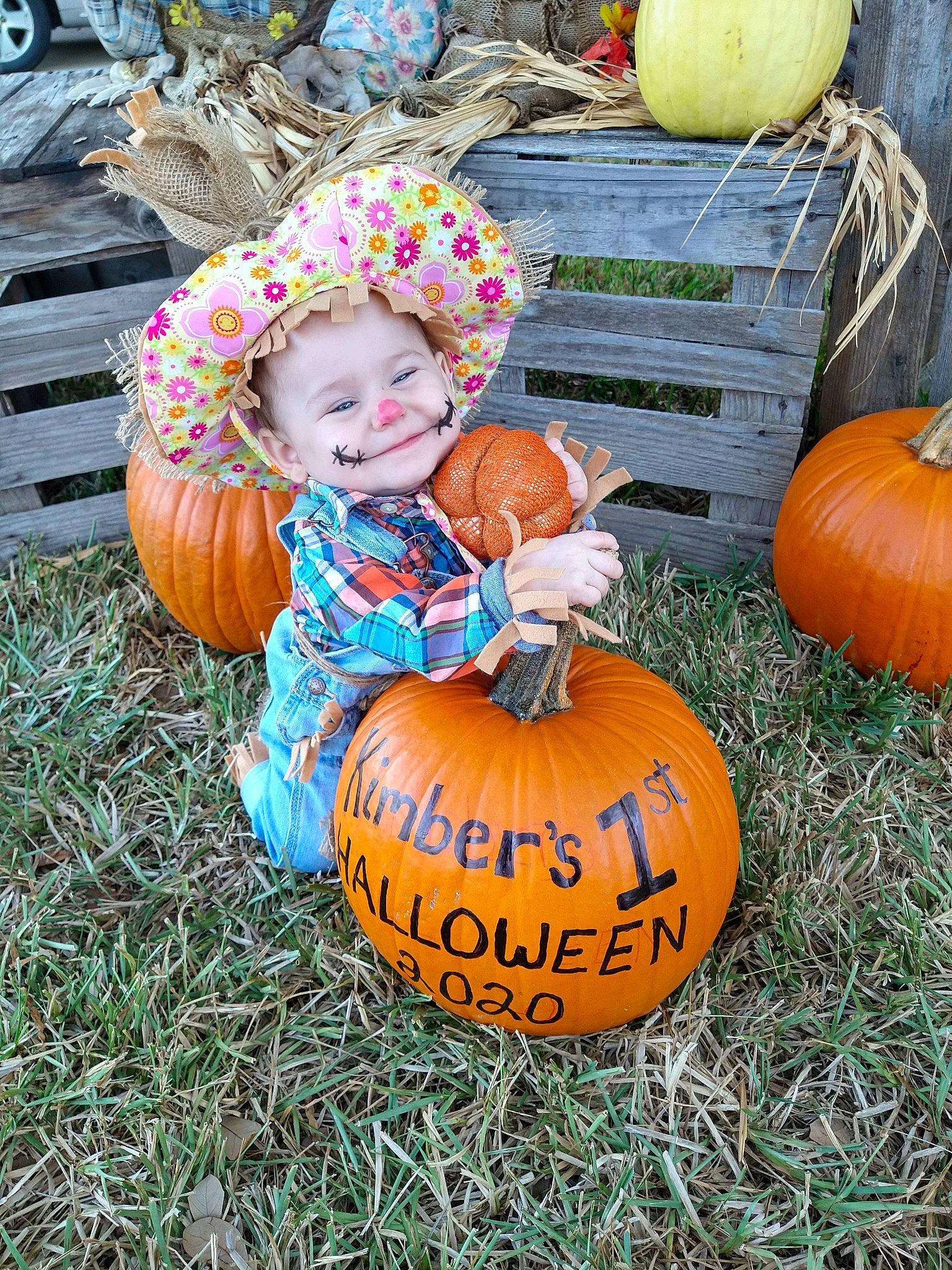 Kimber joined the competition — help win amazing prizes! _and_melon_family, _gourd, autumn, calabaza, child, cucumber, cucurbita, fruit, gourd, grass, joy, person, plant, pumpkin, squash, toddler, tradition, vegetable, winter_squash