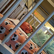 Walker joined the competition — help win amazing prizes! newborn, baby, hospital, crib, blanket, panda_pattern, medical_tubes, infant, sleeping, healthcare, bed, bars, patient, pillow, wrapped, child, closeup, indoors, care, resting
