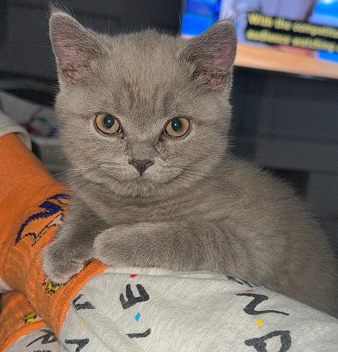 Beau