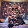 cat, tabby_cat, fluffy, green_eyes, whiskers, close_up, indoor, tapestry, celestial_pattern, blurred_background, soft_surface, pet, feline, portrait, relaxed, mystical, animal, fur, cute, domestic_animal