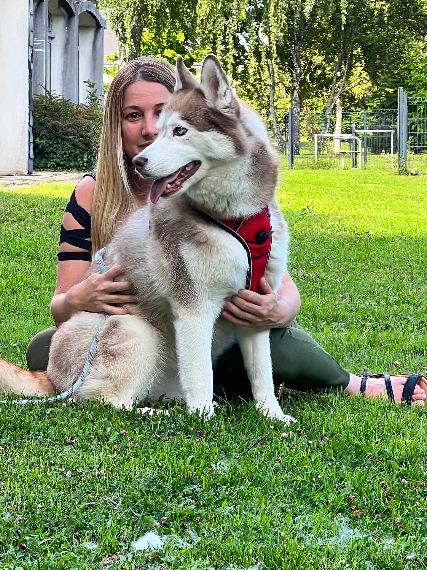 Nala
