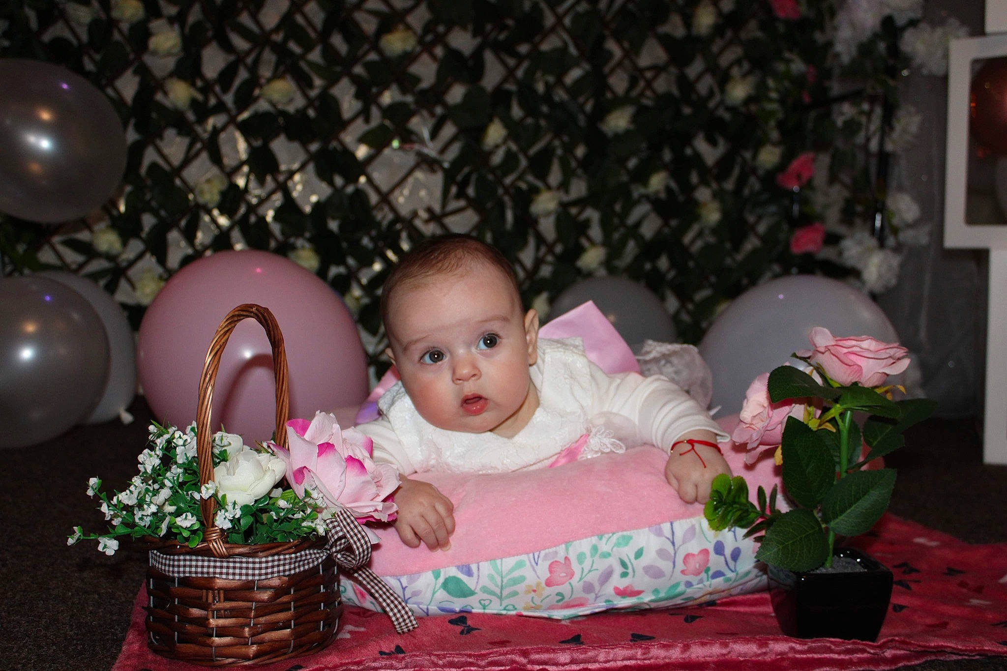 Elisa is registered to the contest to win money with this photo: baby, baby_toddler_clothing, balloon, basket, child, event, flowerpot, happy, head, houseplant, magenta, person, picnic_basket, picture_frame, pink, plant, room, sitting, storage_basket, toddler