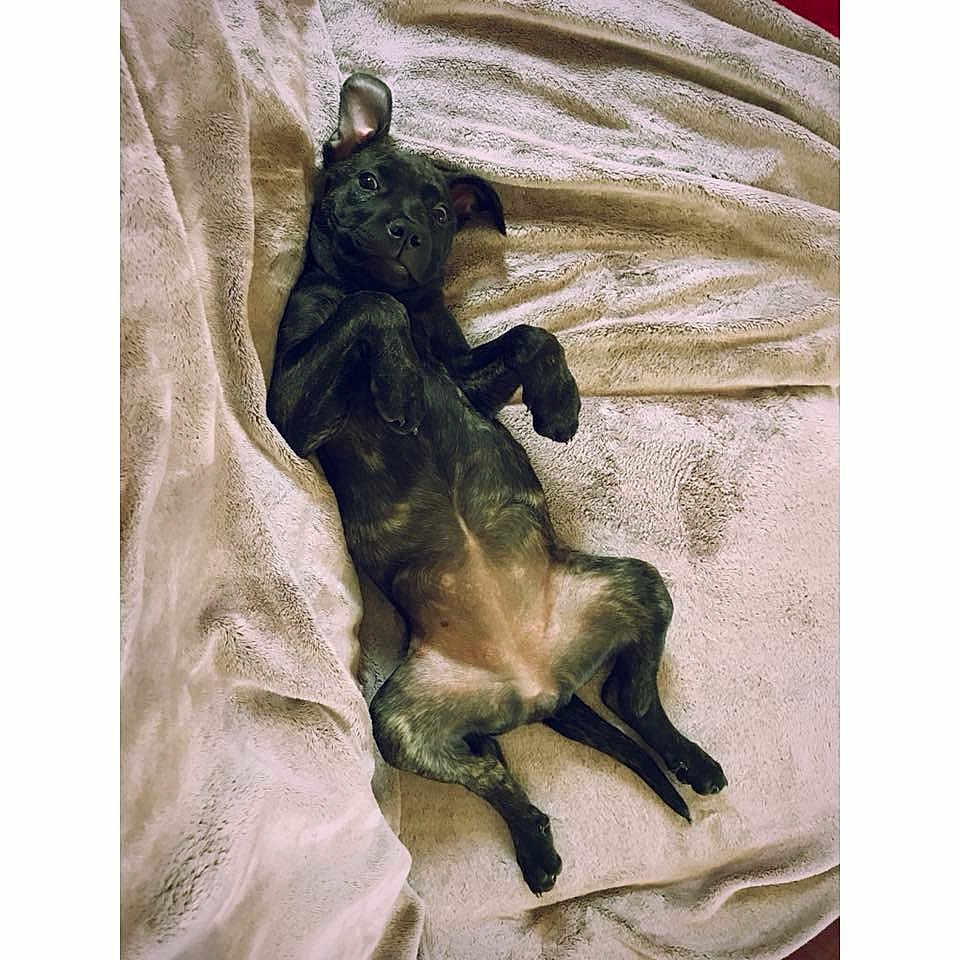 Bella