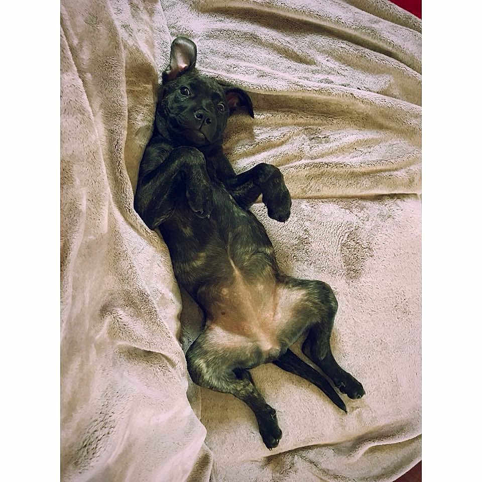 Bella