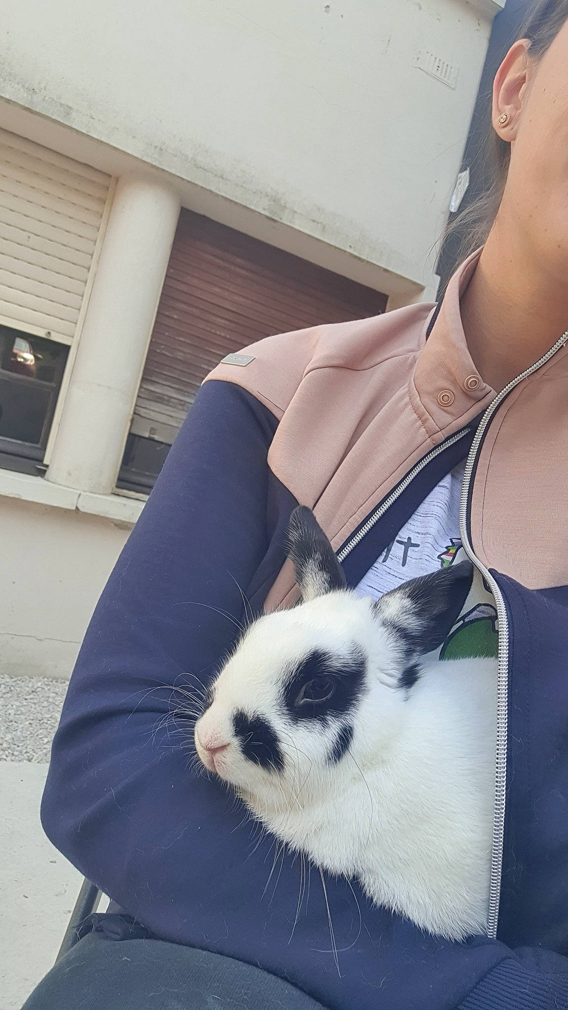 Snoopy participe au concours pour gagner de l'argent avec cette photo : abdomen, carnivore, cat, chest, elbow, eyewear, felidae, formal_wear, human_leg, neck, pattern, sleeve, sleeveless_shirt, small_to_medium_sized_cats, snout, thigh, trunk, waist, whiskers, window