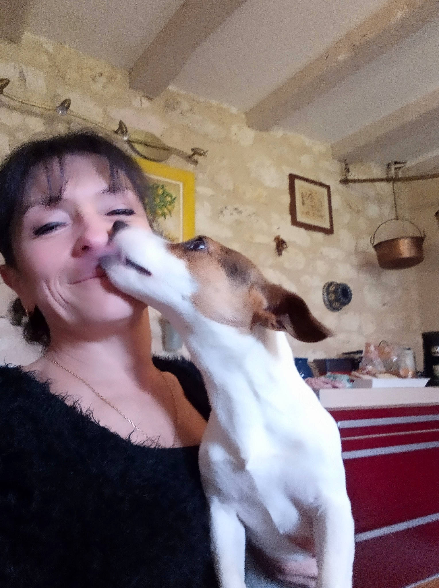 Rustine a rejoint le concours — aidez-le/la à gagner de superbes lots ! cabinetry, canidae, carnivore, ceiling, collar, companion_dog, dog, dog_breed, jaw, jewellery, kiss, love, necklace, picture_frame, snout, terrier, throat, tongue, tooth, working_animal