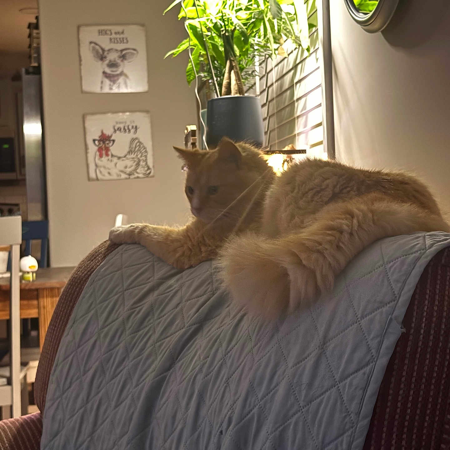 Leo
