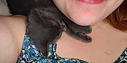 Shadow is registered to the contest to win money with this photo: kitten, cat, sleeping, person, shoulder, close_up, smile, floral_clothing, skin, nap, black_cat, resting, cute, animal, pet, young_cat, indoor, soft_light, head, face_partial