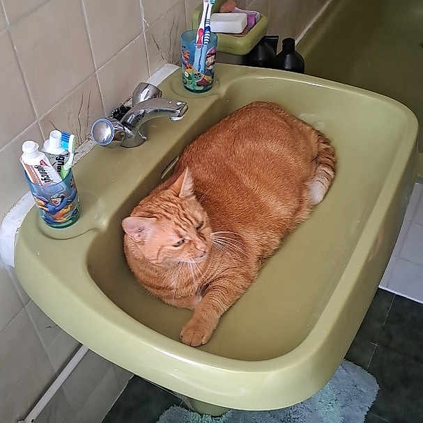 Tigrou