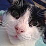 Daisy is registered to the contest to win money with this photo: