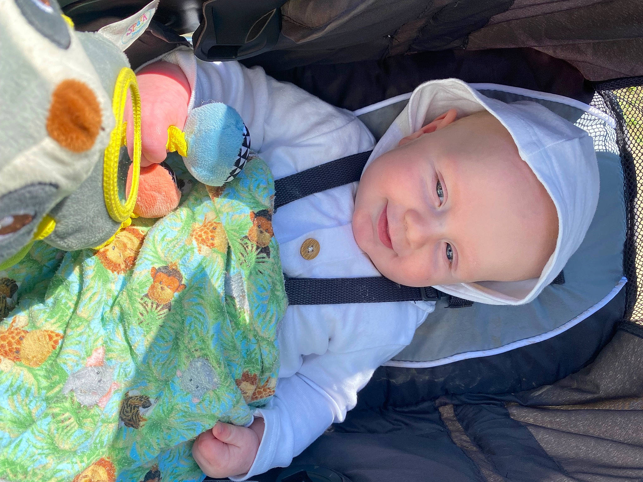 Levi is registered to the contest to win money with this photo: baby, baby_products, baby_toddler_clothing, child, comfort, eye, hand, hat, head, joy, linens, mammal, person, product, sitting, skin, sleeve, stuffed_toy, toddler, toy