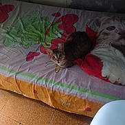 Tigresse participe au concours pour gagner de l'argent avec cette photo : cat, bed, pillow, frog, hearts, floor, tiled_floor, wall, sheet, animal, pet, indoor, furniture, cute, resting, colorful, pattern, curious, small_cat, fabric