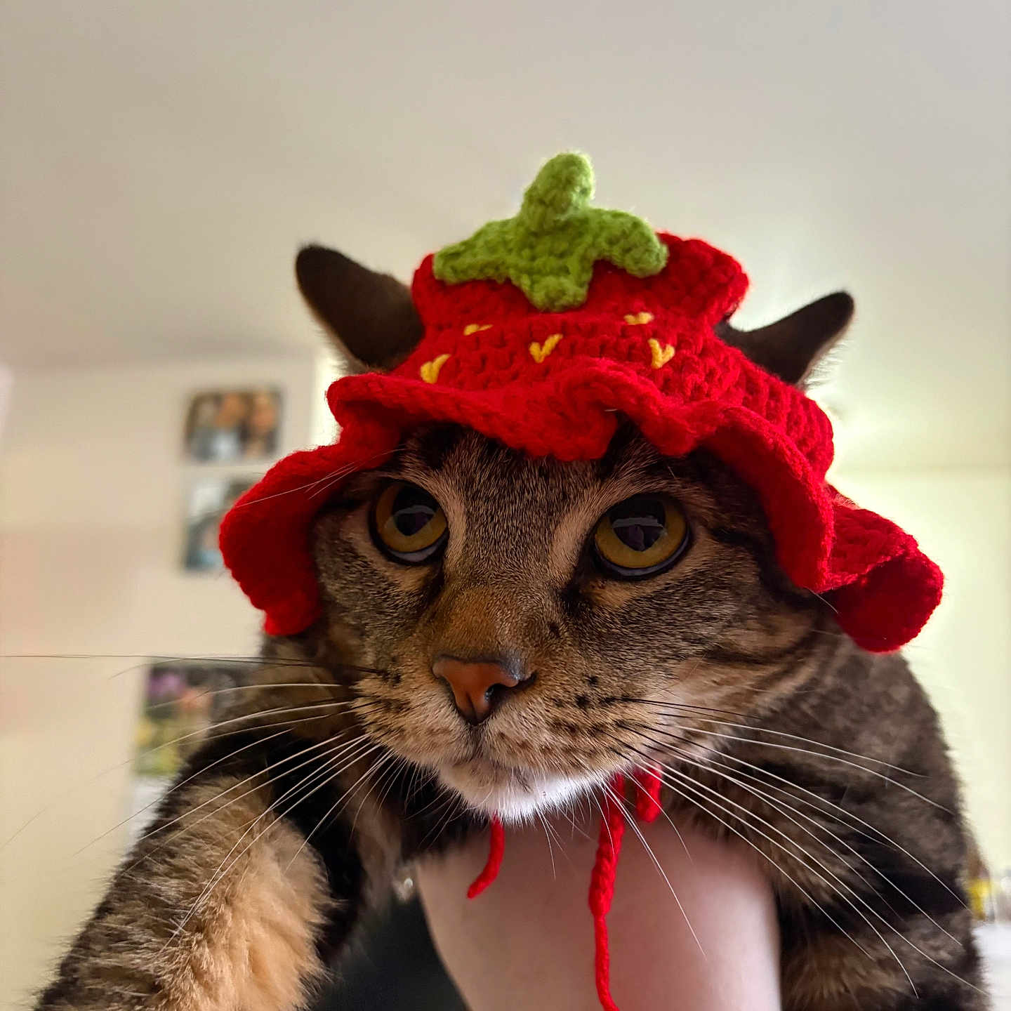Nala