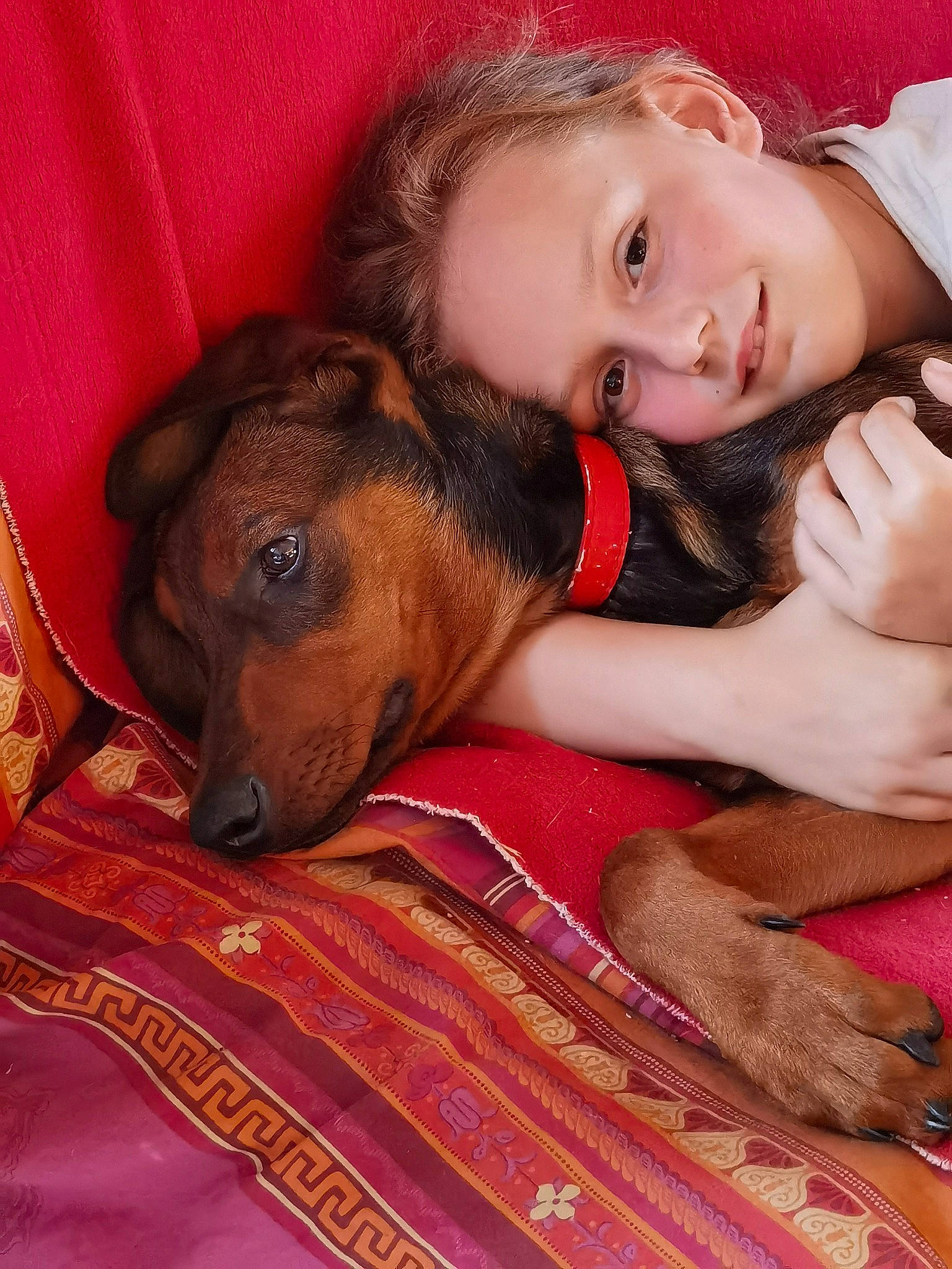 Nala a rejoint le concours — aidez-le/la à gagner de superbes lots ! abdomen, canidae, carnivore, comfort, companion_dog, dog, dog_breed, fawn, flash_photography, fun, fur, happy, human_leg, lap, love, pattern, sitting, sporting_group, thigh, trunk