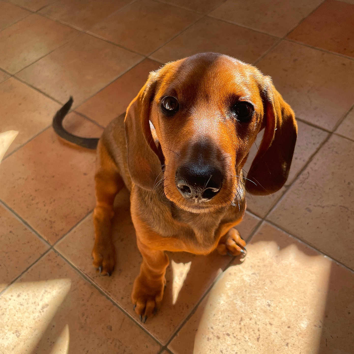 Winnie